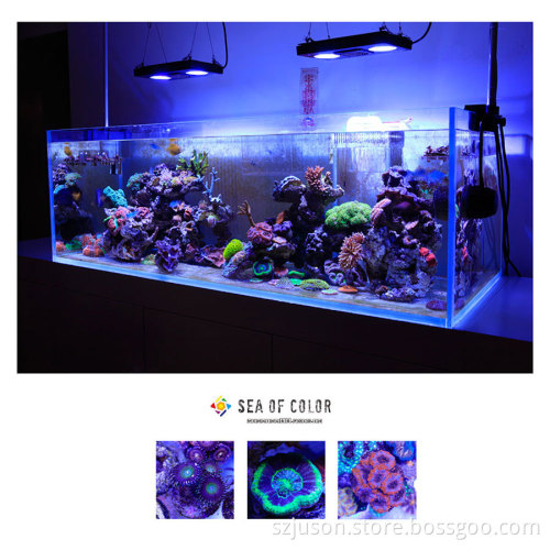 New Design Environment and Long Lifespan LED Aquarium Light RoHS passed 7 authentications